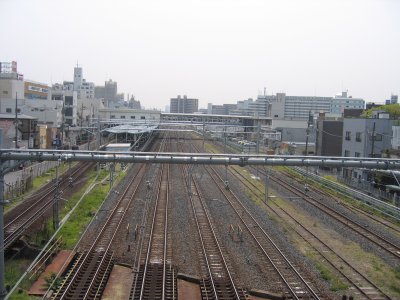 n猩nw
